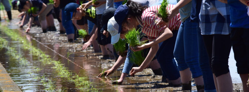 東京農業大学第一高等学校・中等部