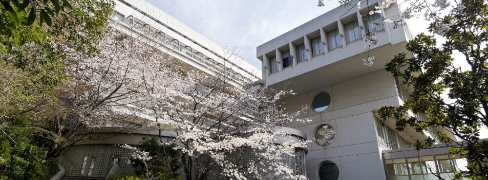 桐蔭学園高等学校